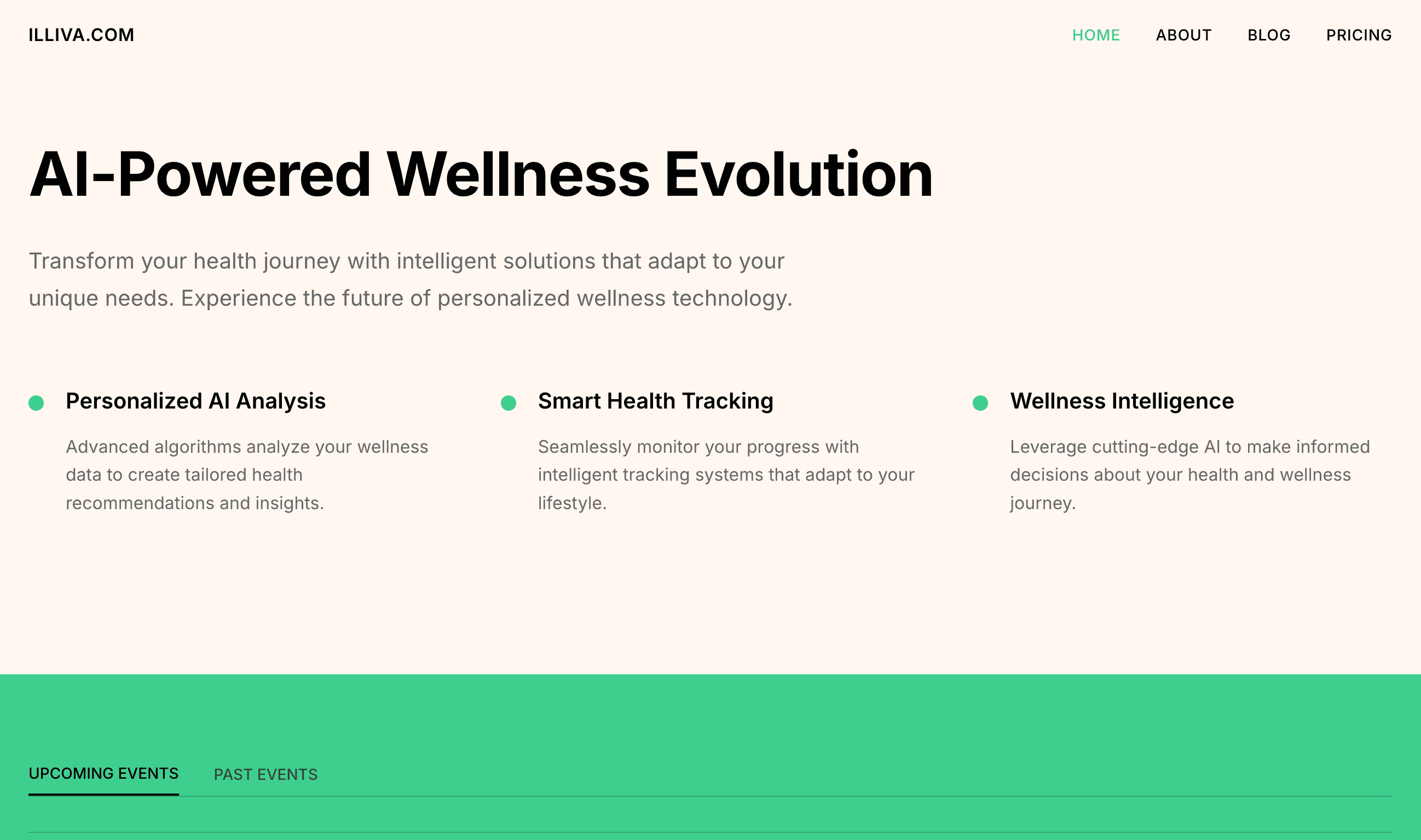 Illiva Website Screenshot